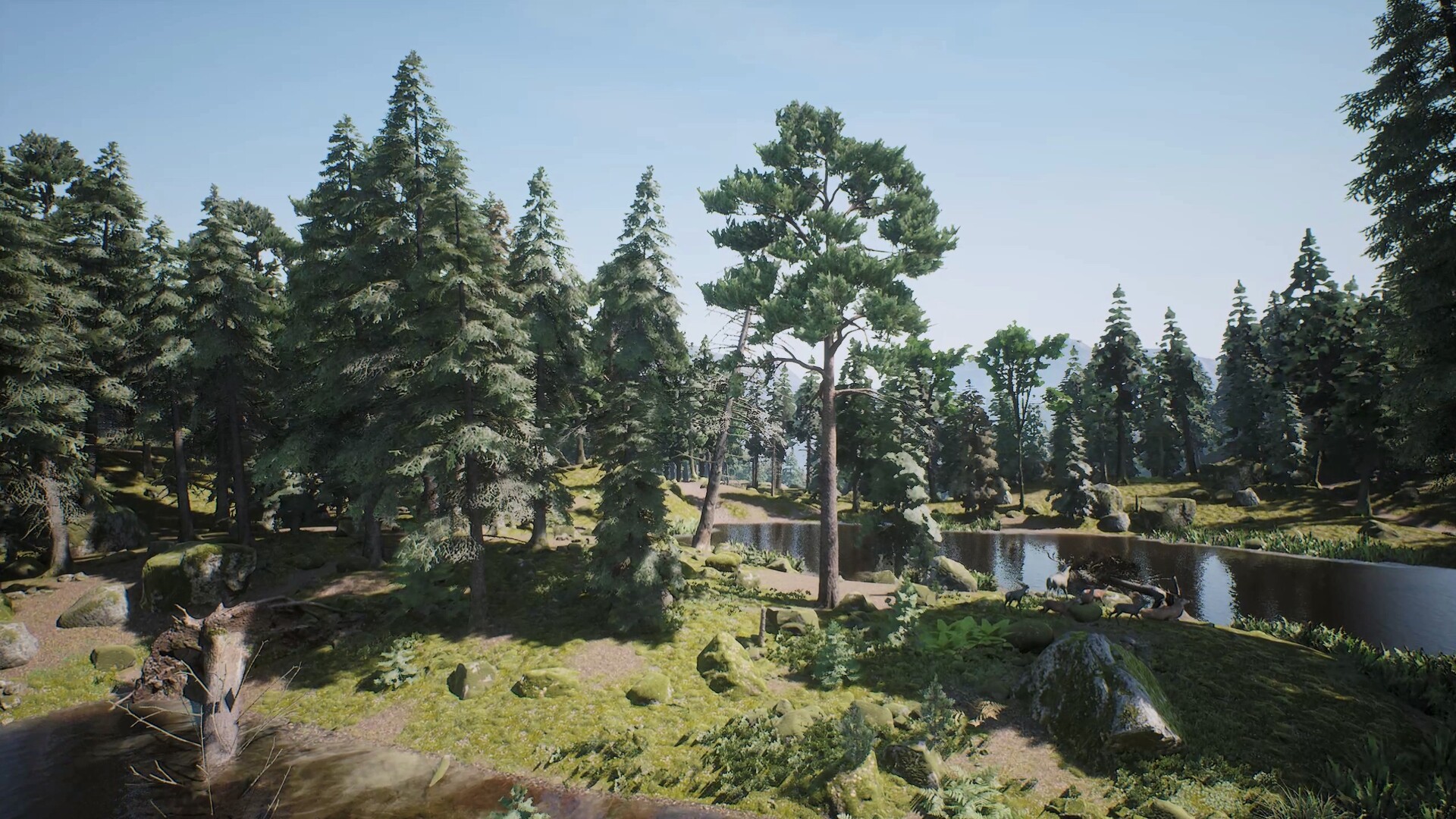 Project Hunt: Trophy Sanctuary