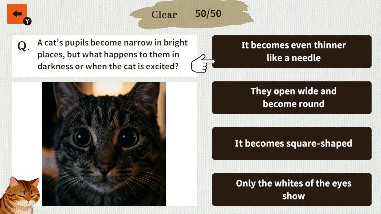 Cat Doctor: For Loyal Servants