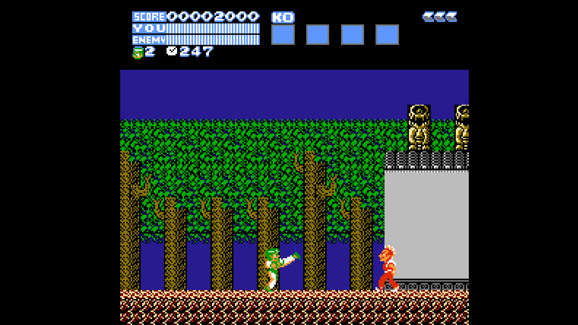 Hiryu no Ken Collection