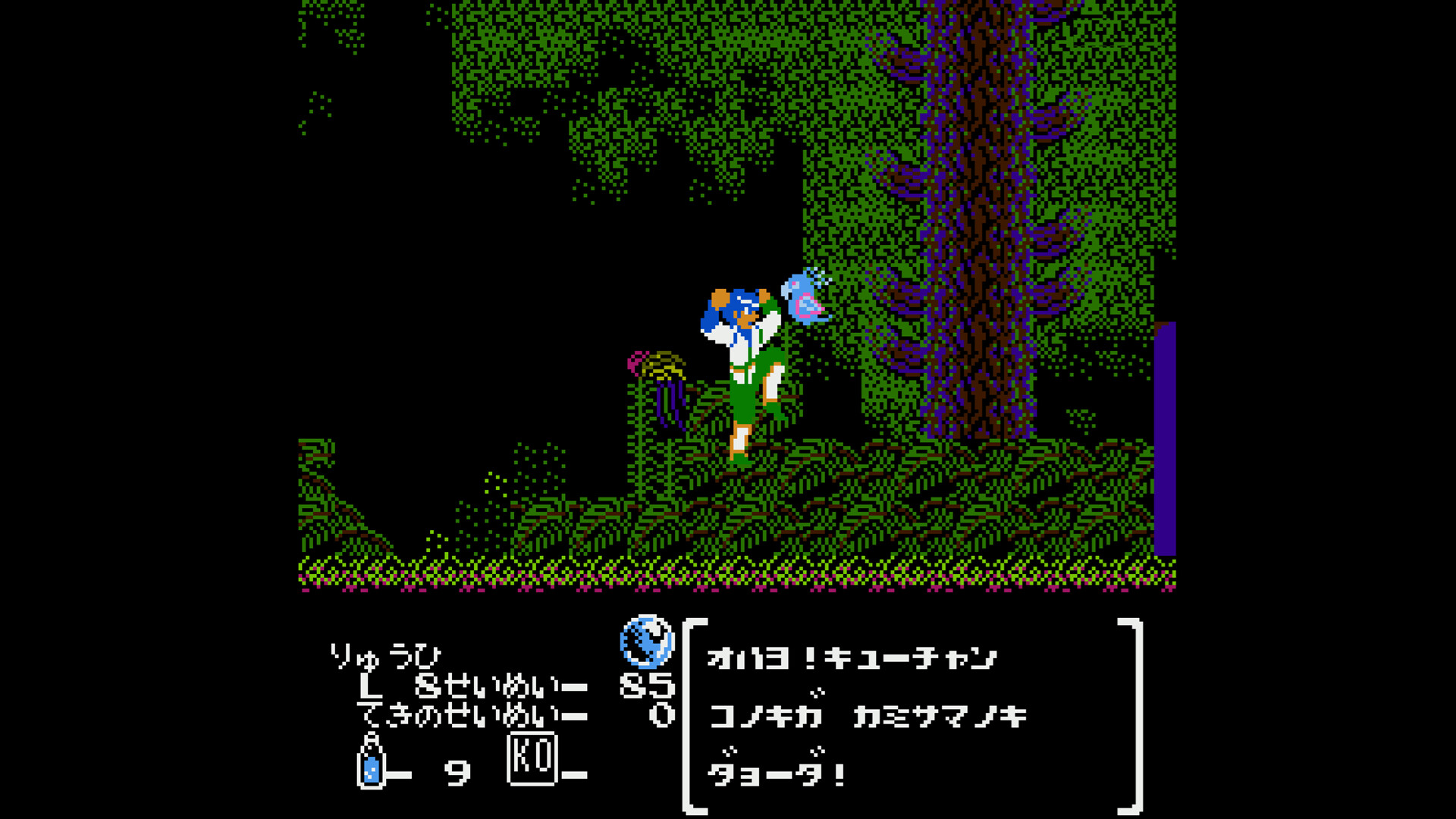 Hiryu no Ken Collection