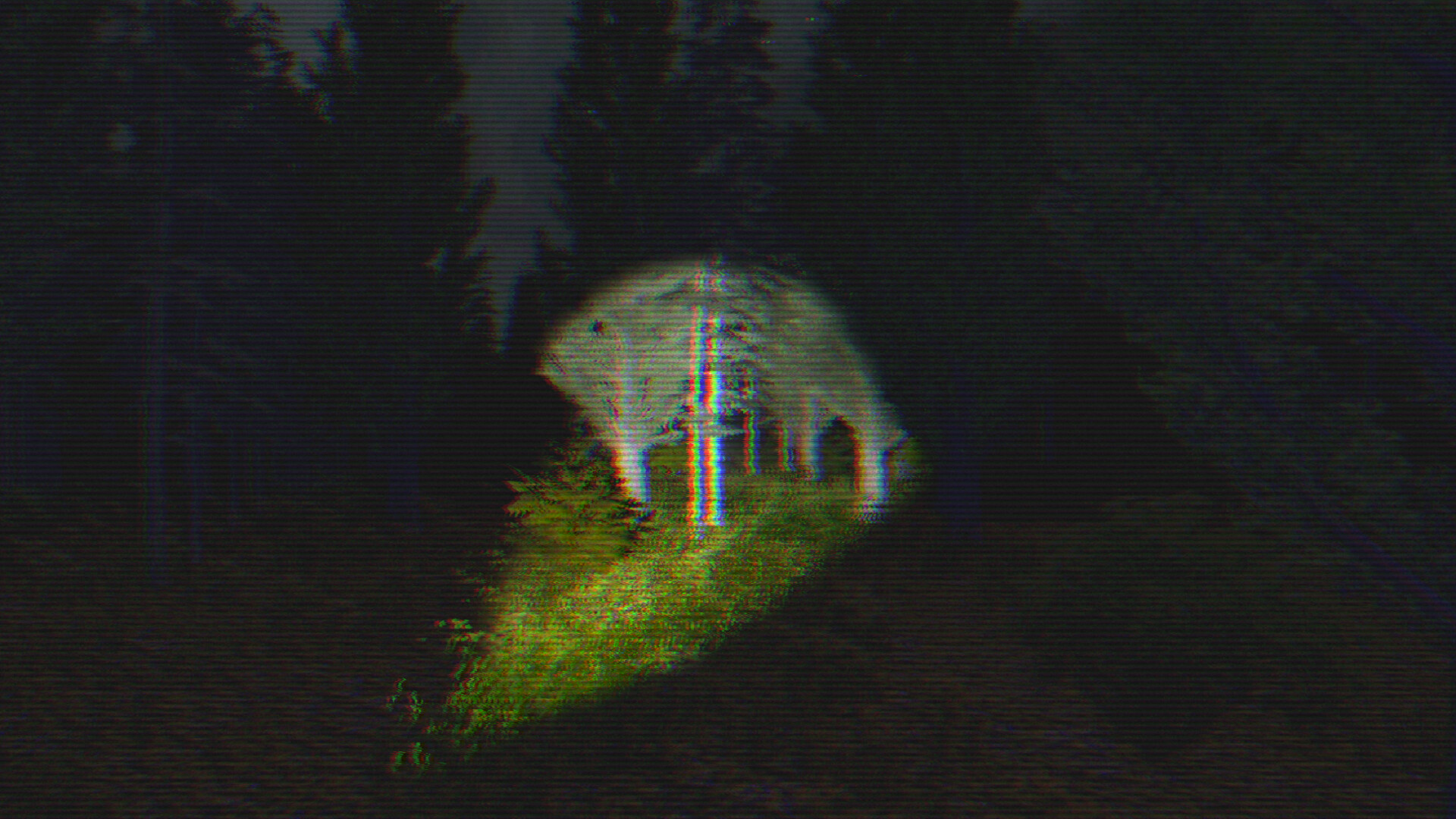 The Cluster