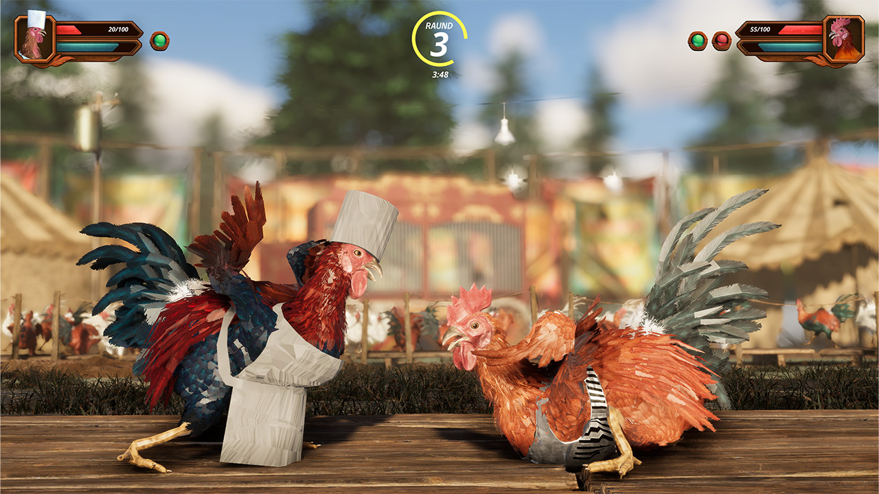 Rooster Wars Arena: MFC Combat Battle