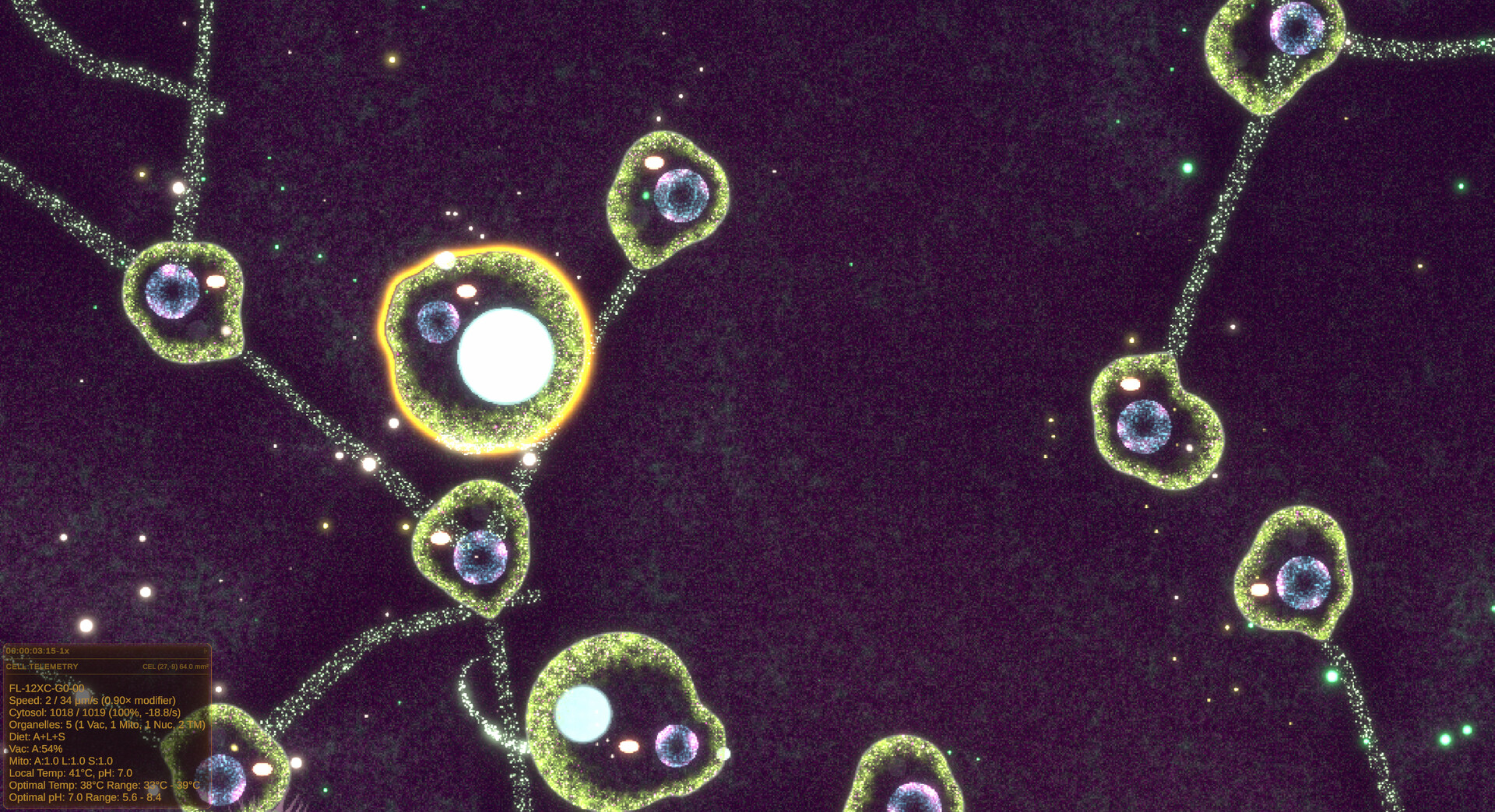 Substrate: Emergence