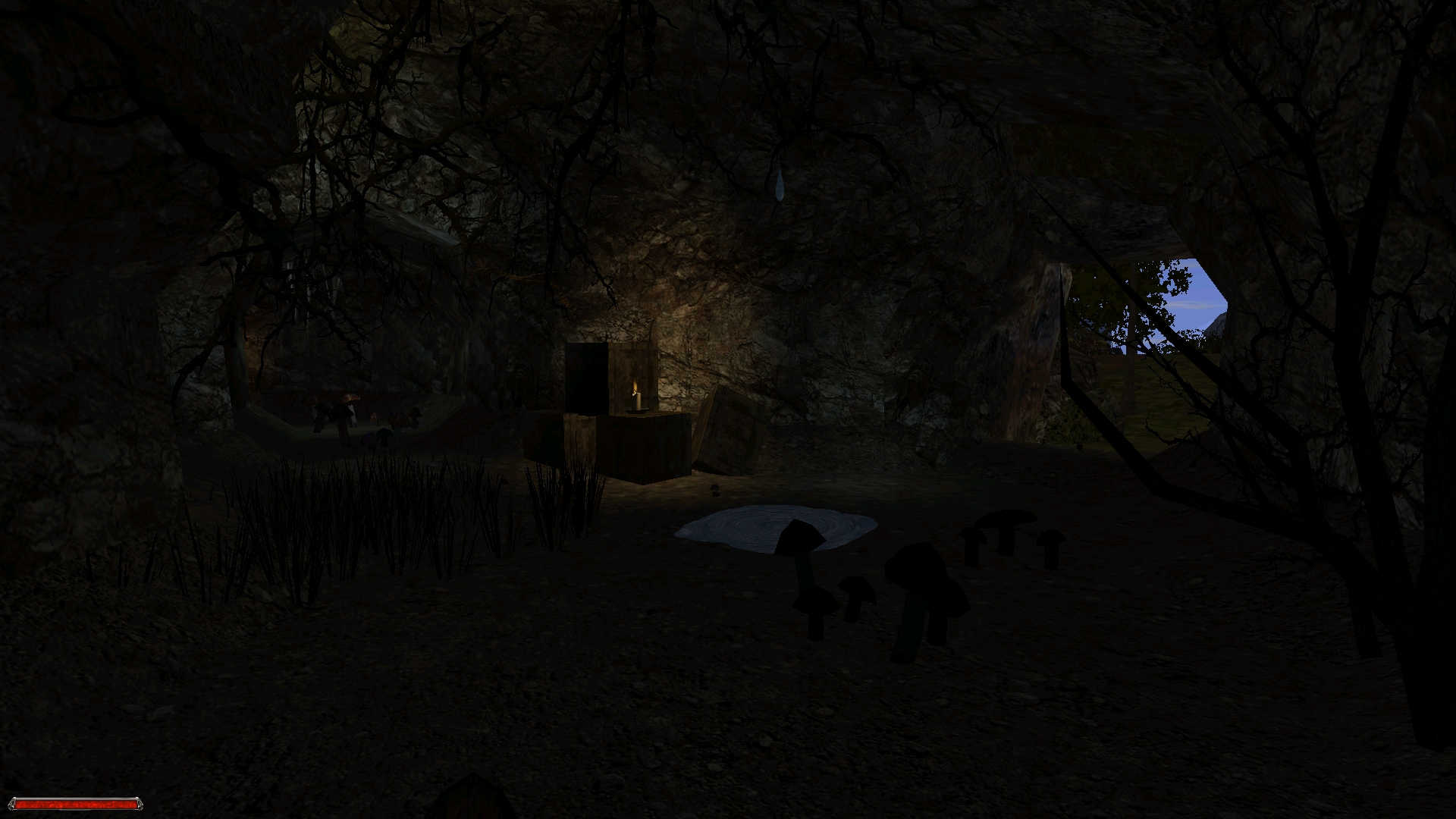 From the life of a thief