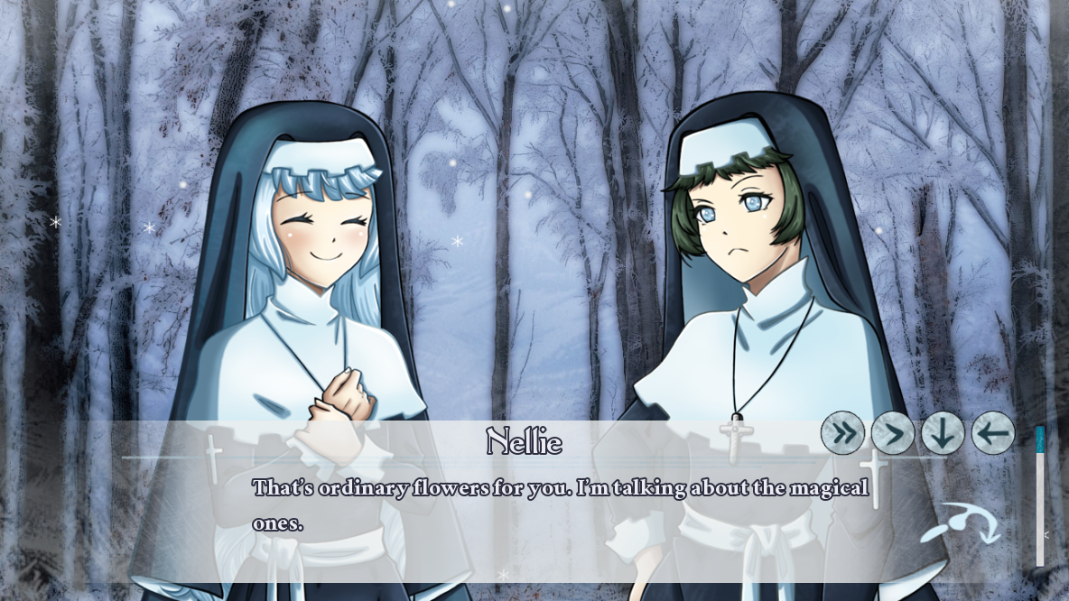 The Snowdrop Diaries