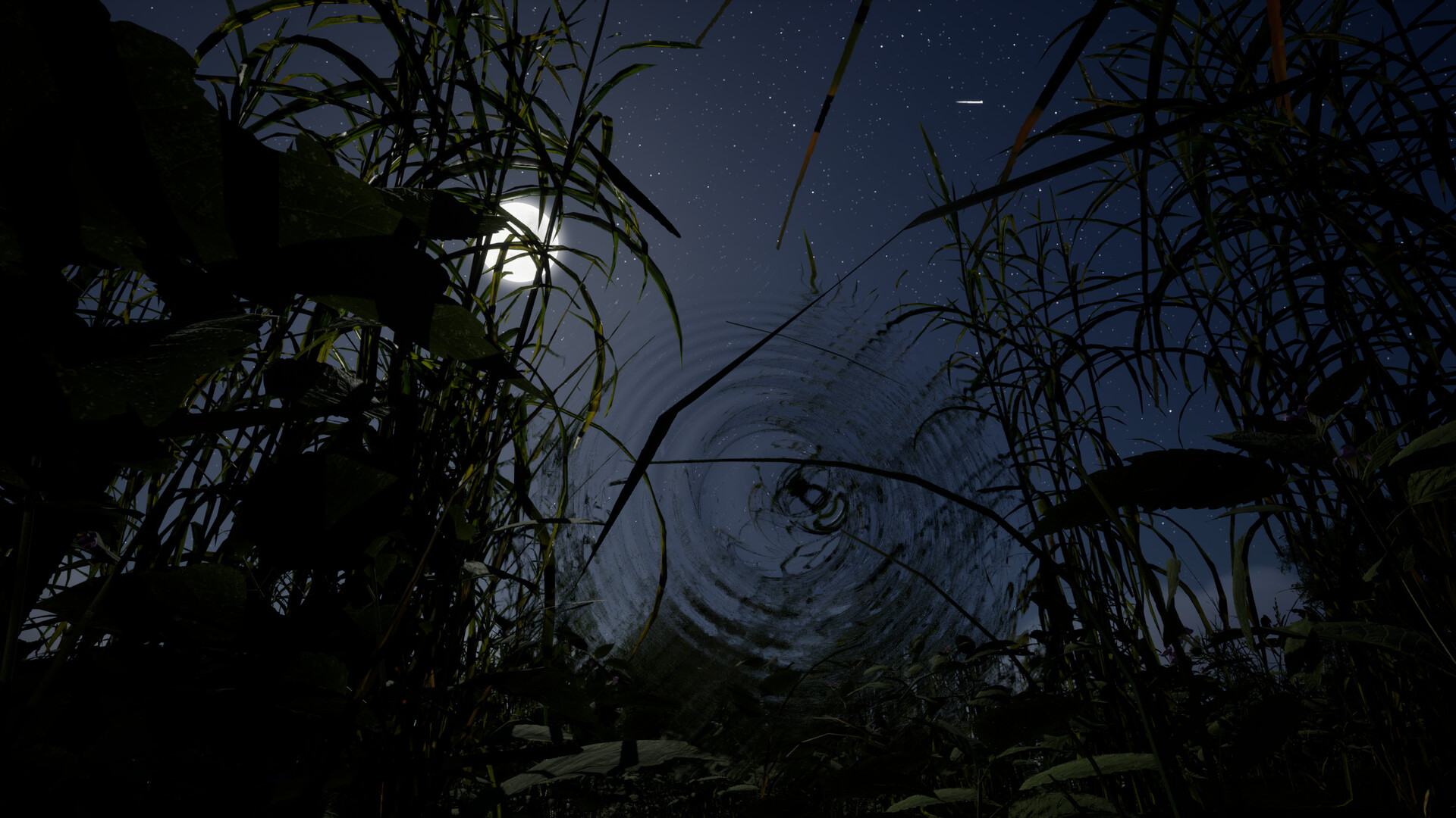 Whispers of the Tallgrass