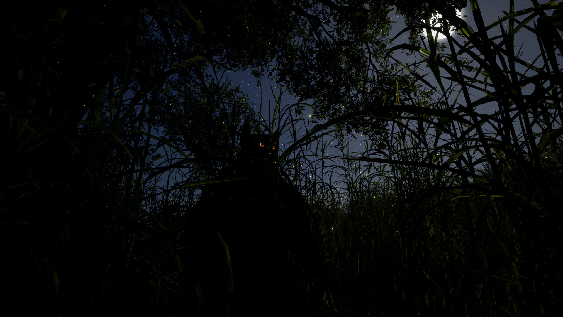 Whispers of the Tallgrass