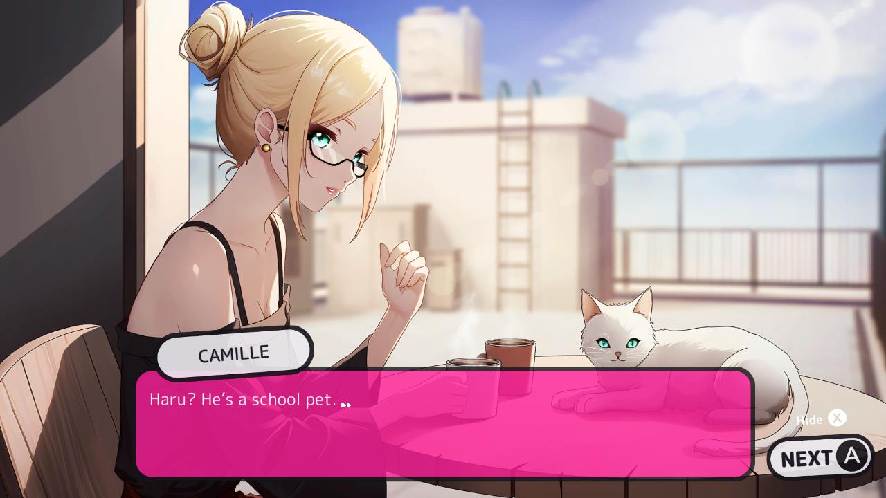 Hentai Special 4-in-1