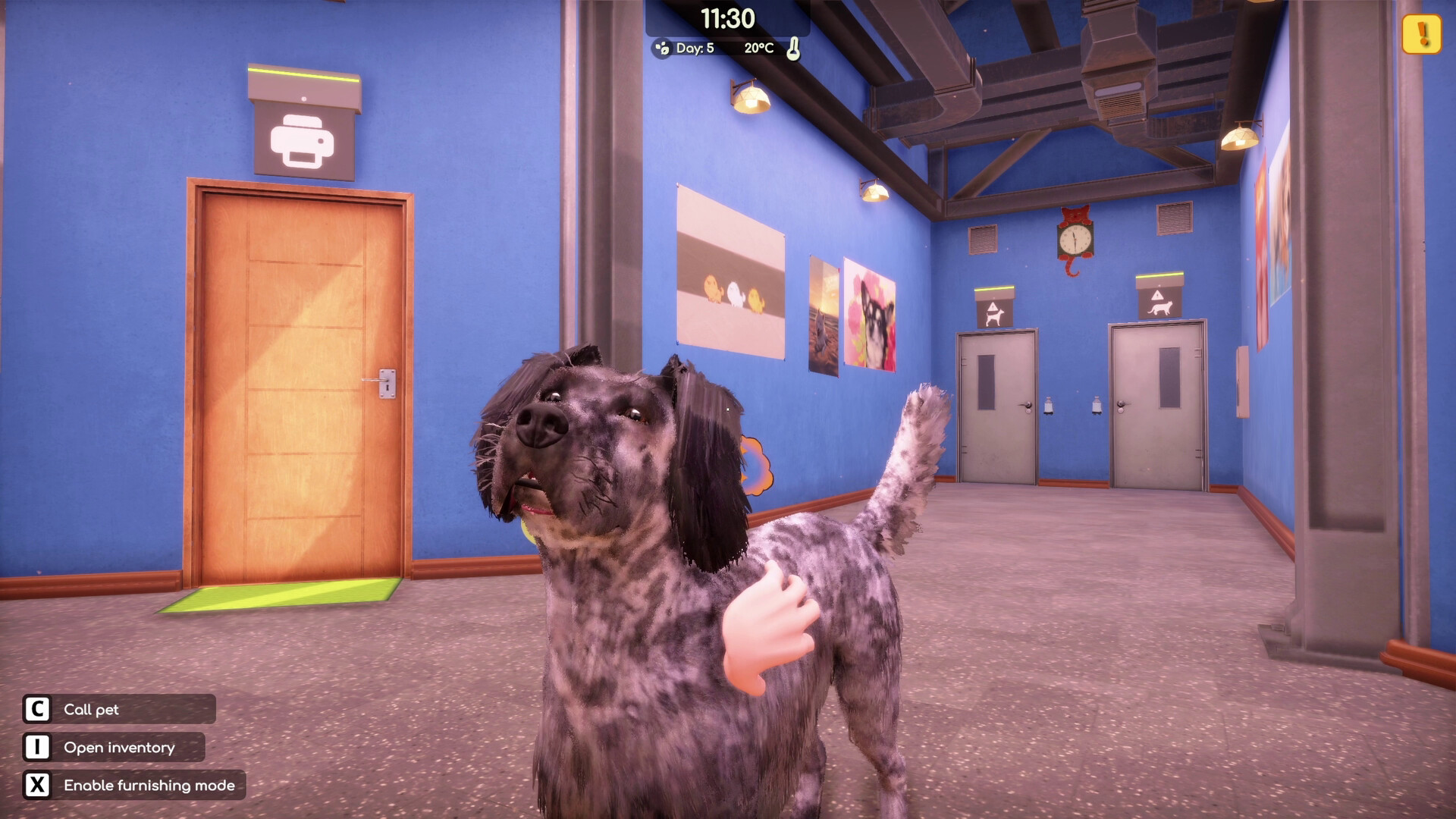 Animal Shelter 2: Hunting Dogs Pack