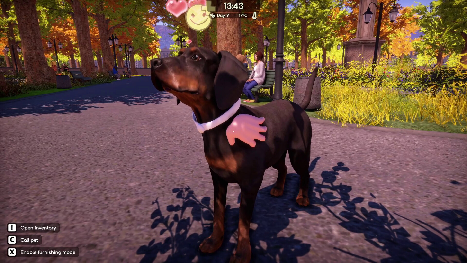 Animal Shelter 2: Hunting Dogs Pack