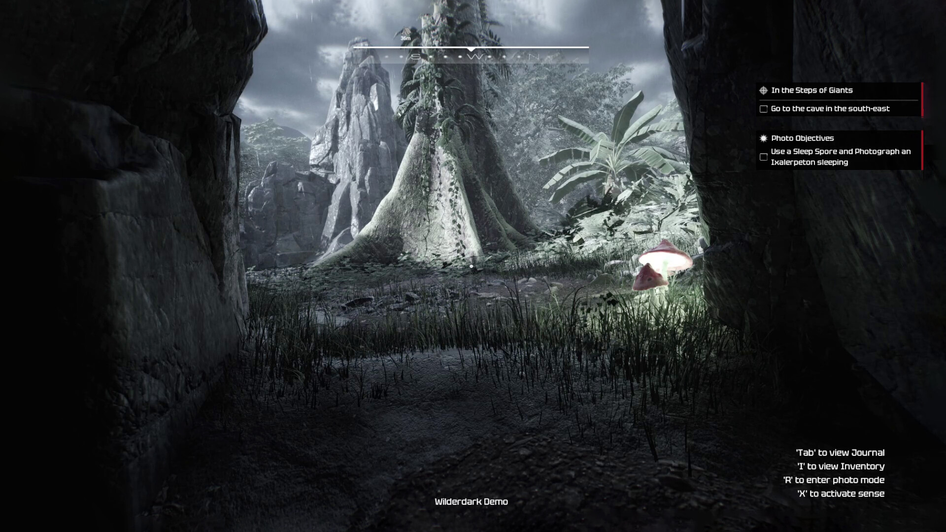 Wilderdark