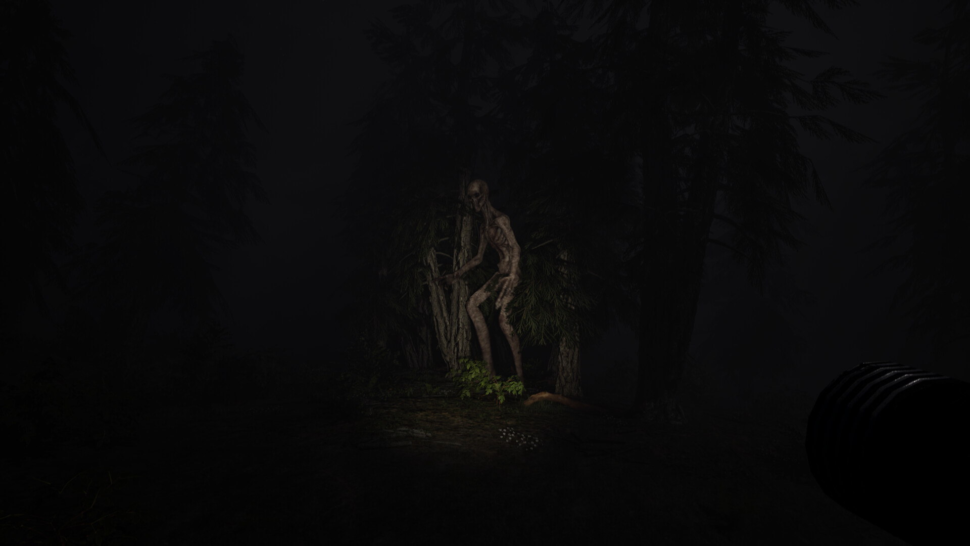 Echoes of Sin: Confusion