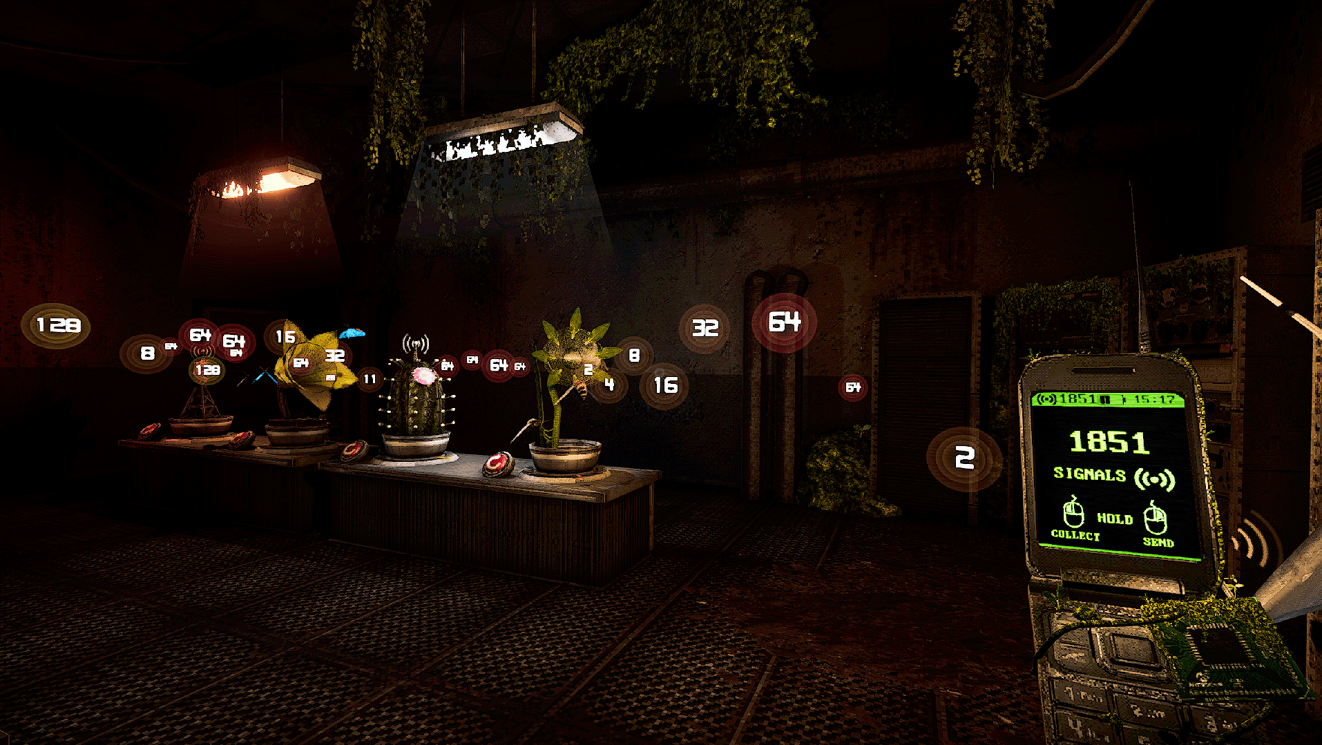 Signal Garden