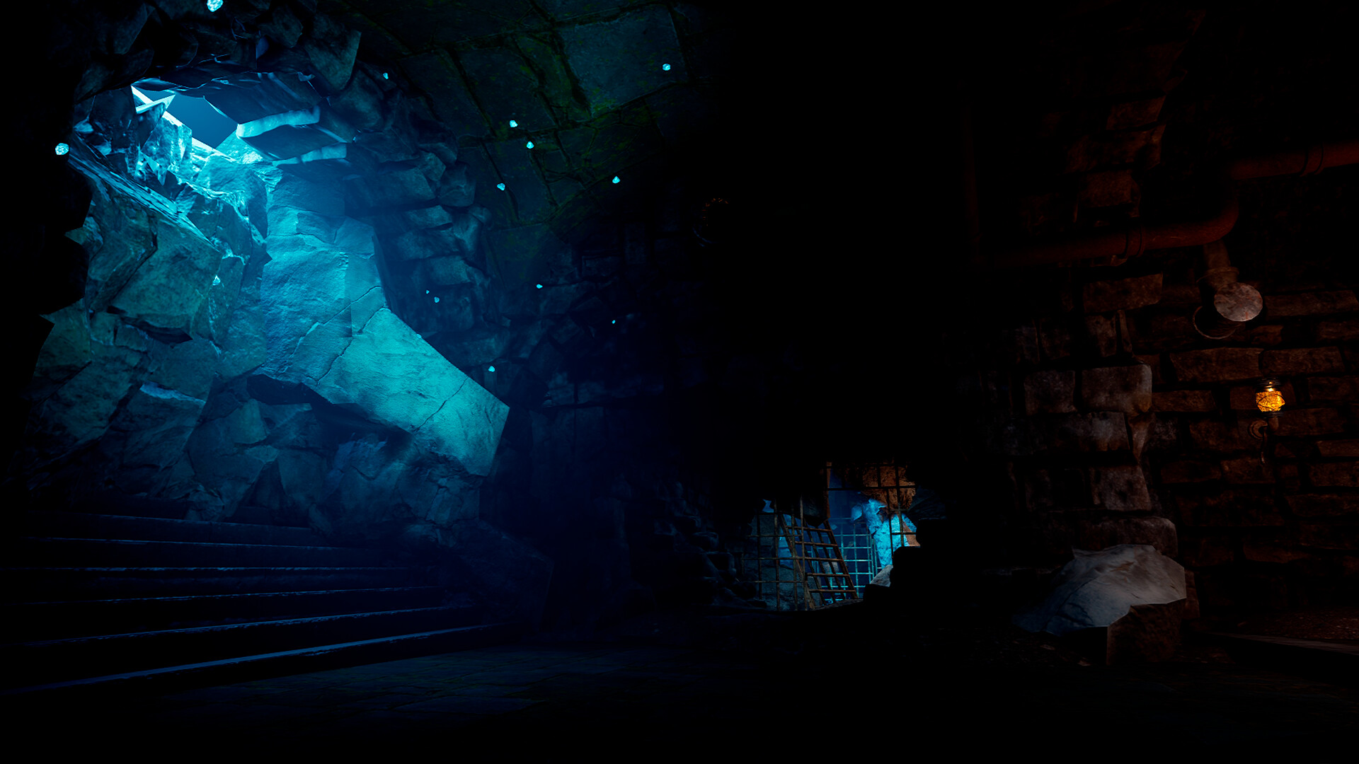 Step Into the Dark