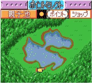 Let’s Go Fishing!!