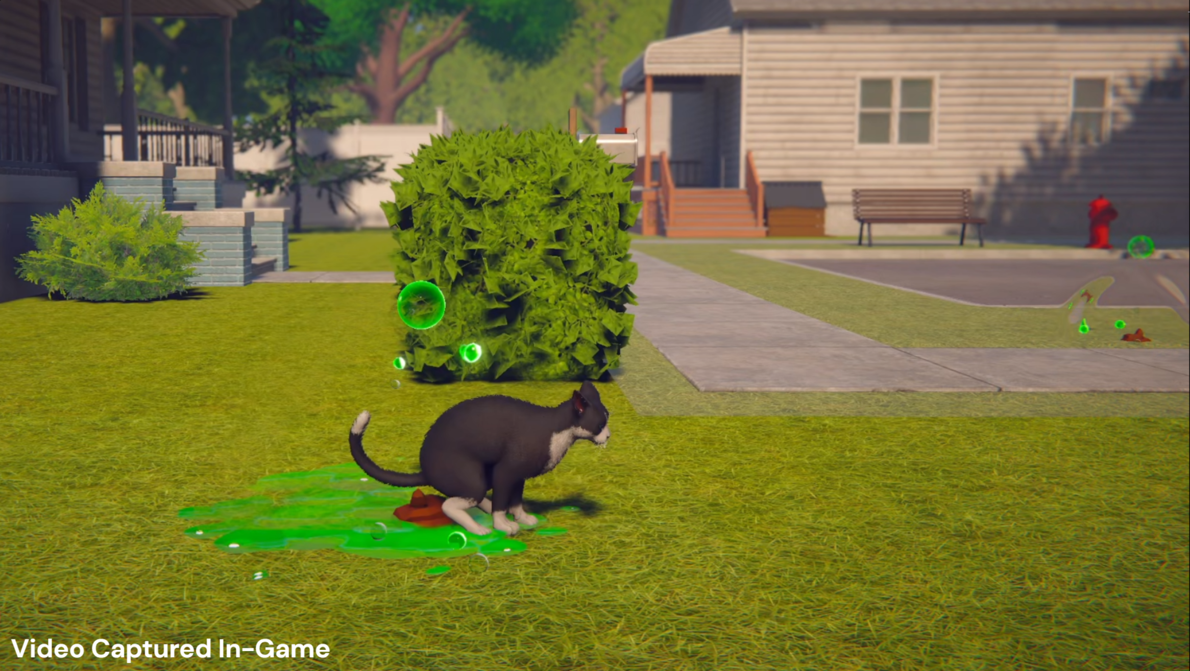 Whose Lawn Is It Anyway