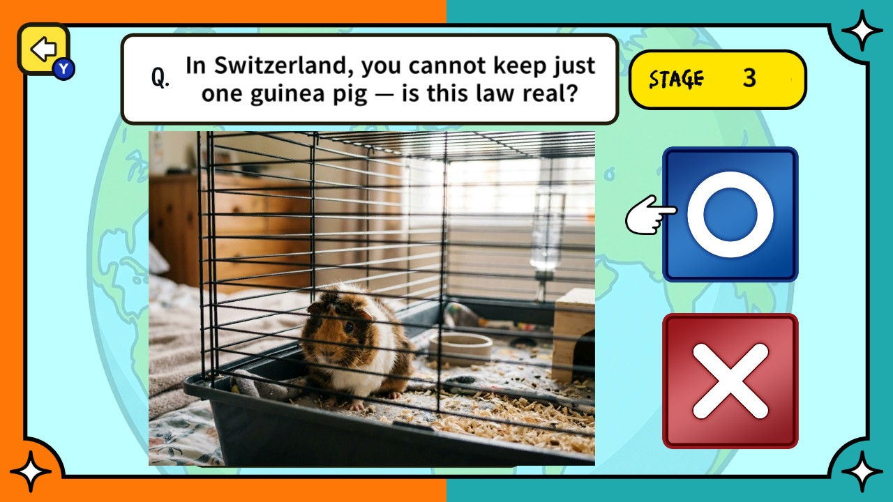 Surprising Laws Around the World True or False Quiz