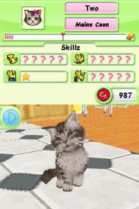 Petz: Catz Playground