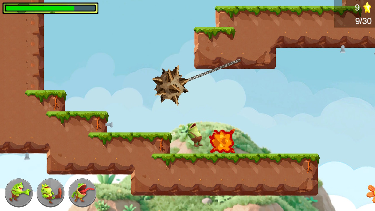 The Frog’s Adventure