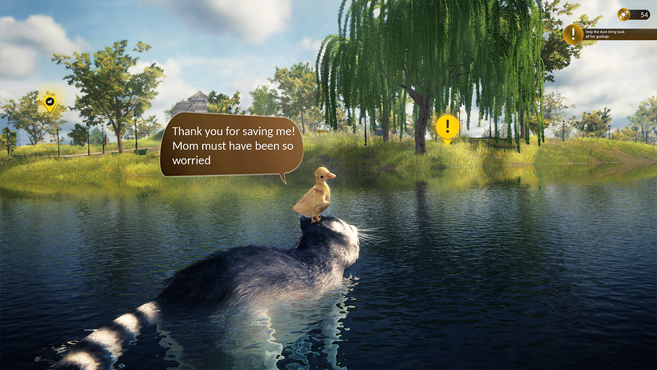 Raccoon Survival Simulator