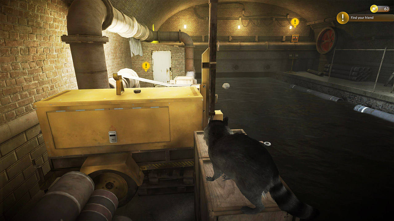 Raccoon Survival Simulator