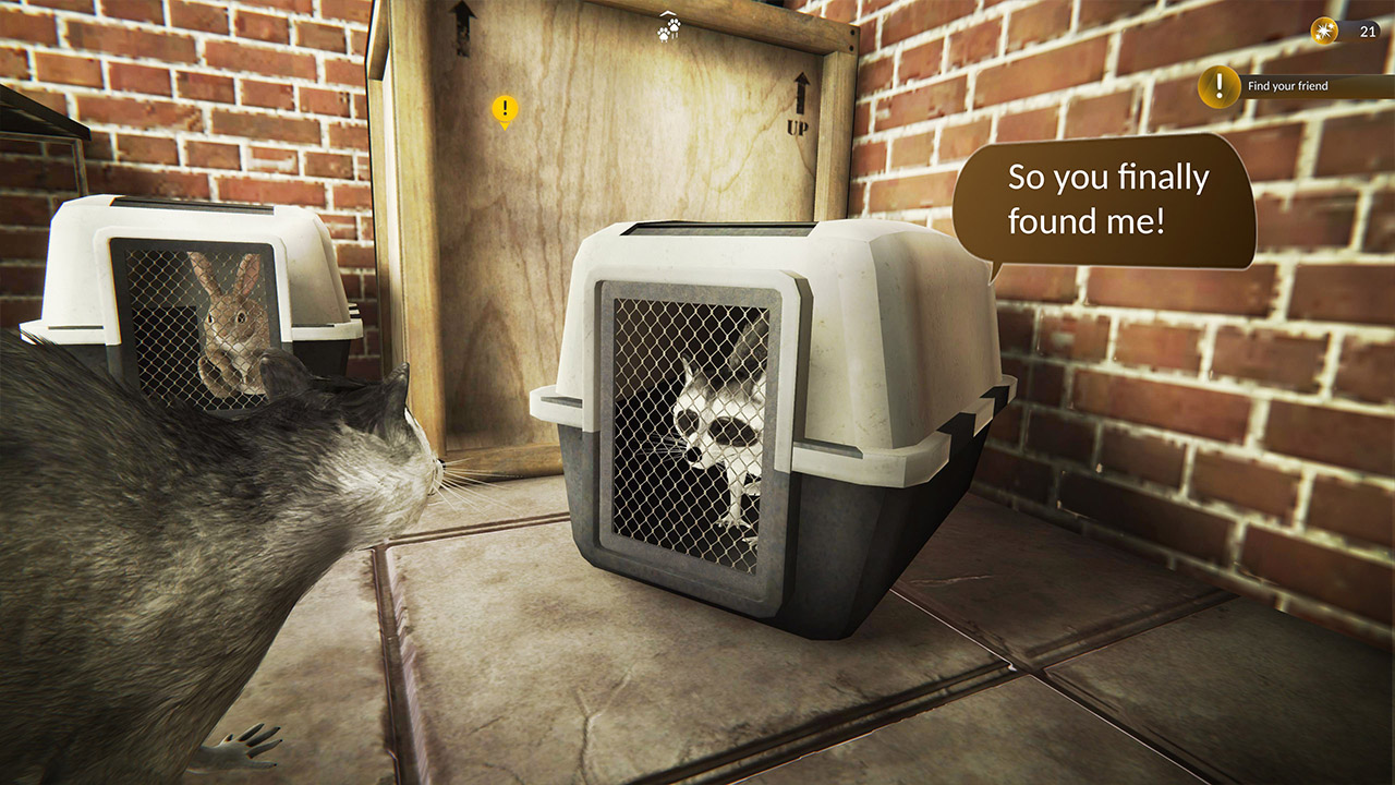 Raccoon Survival Simulator