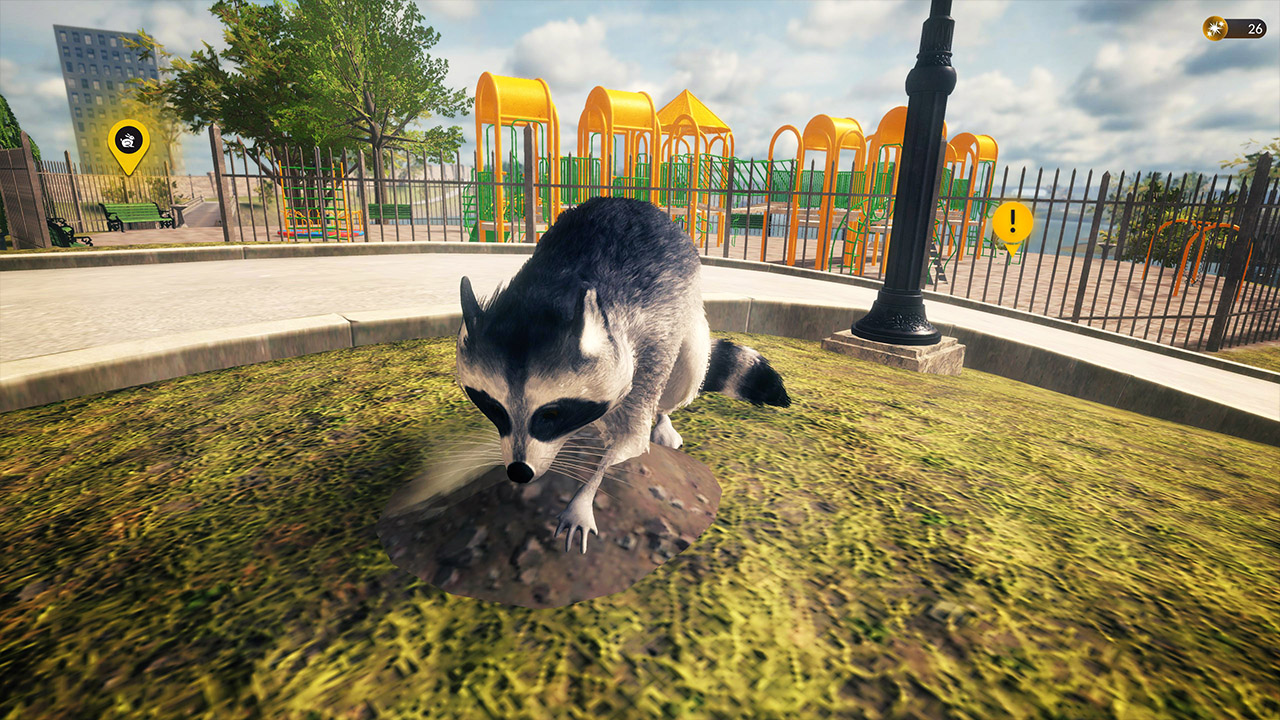 Raccoon Survival Simulator