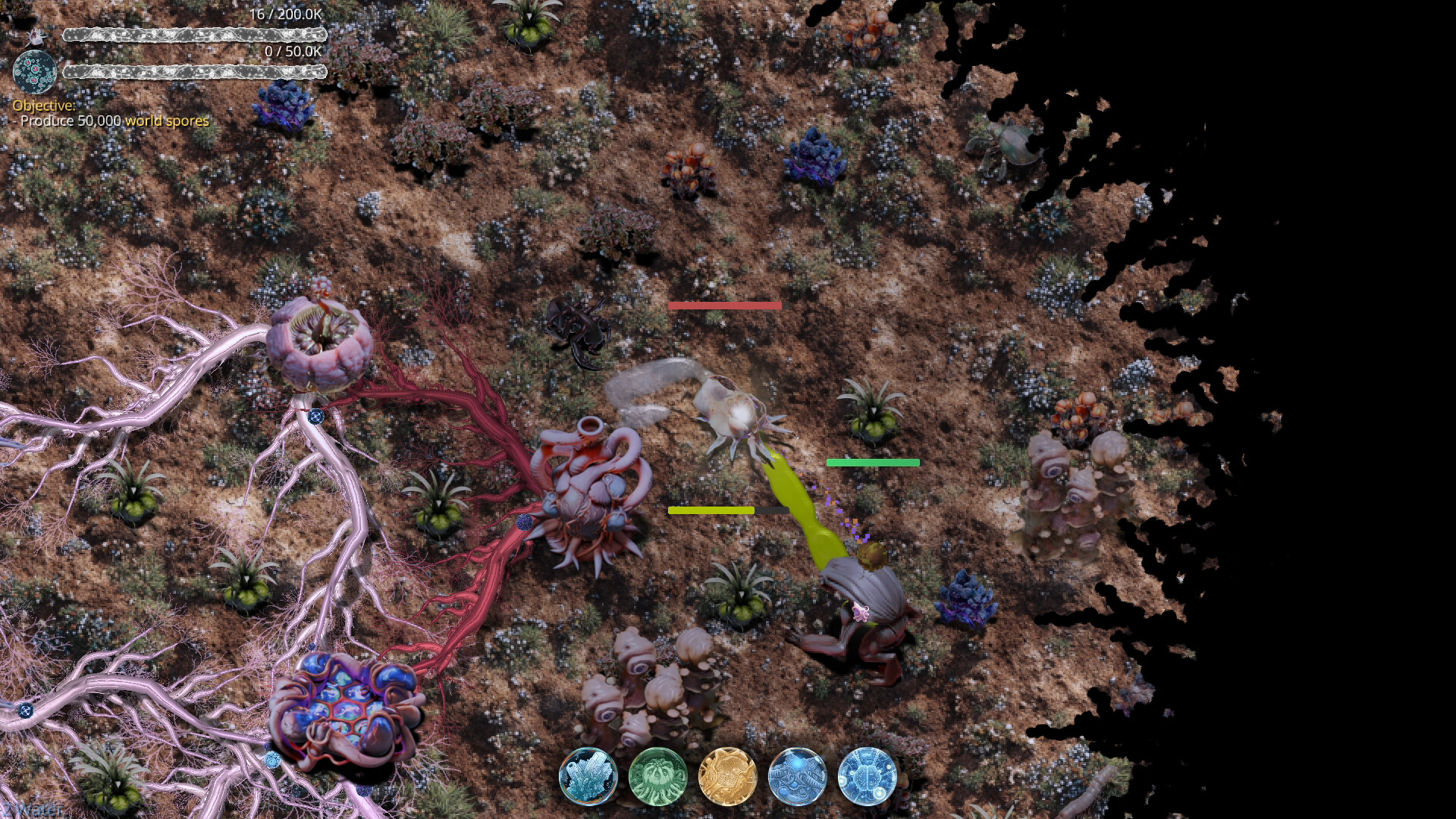 Mycelium Conquest
