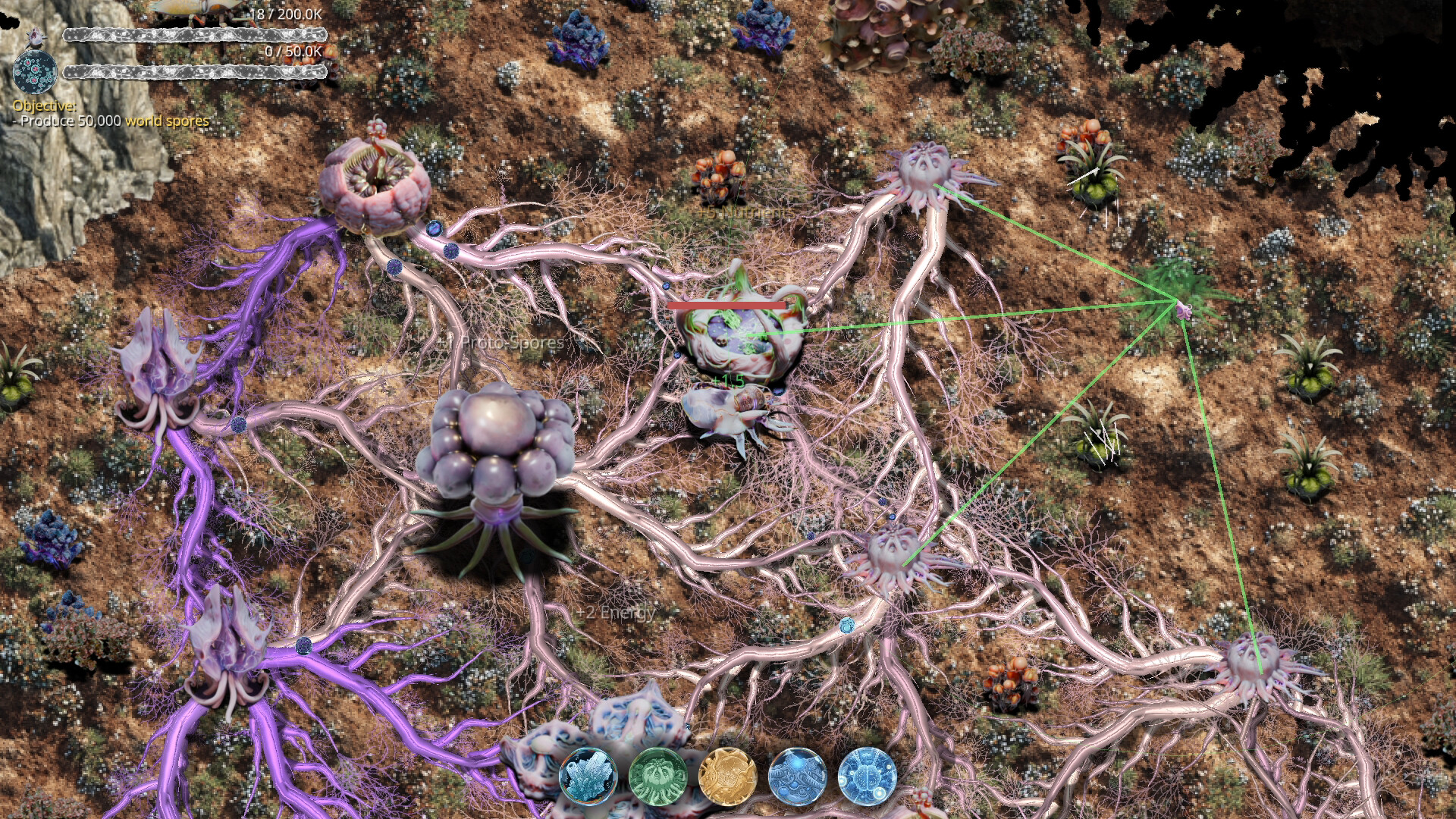 Mycelium Conquest