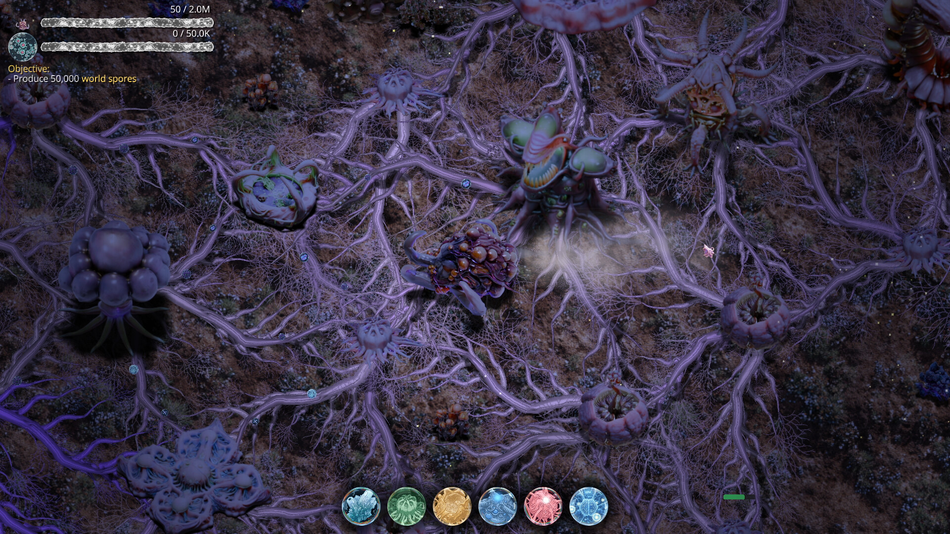 Mycelium Conquest
