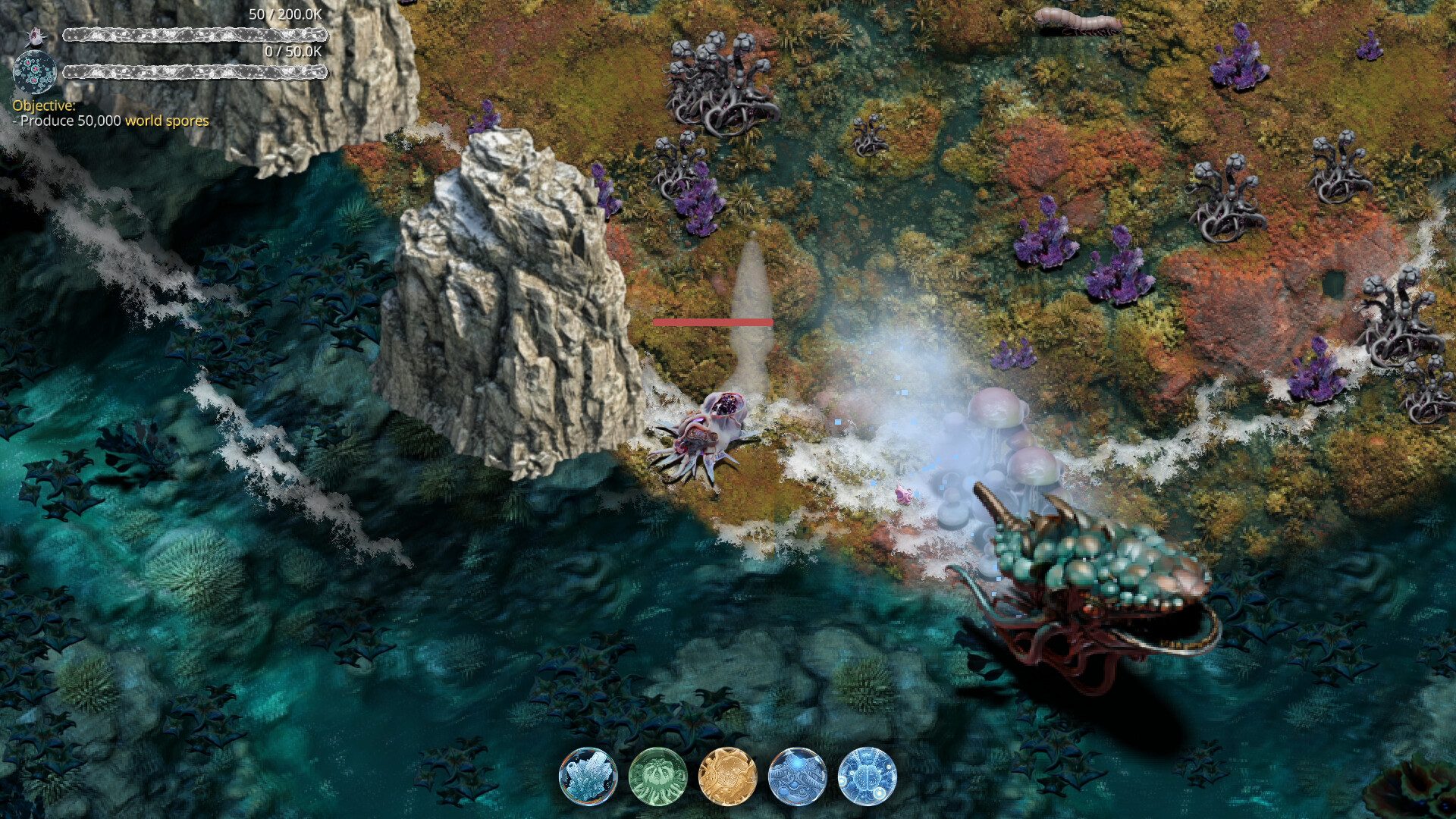 Mycelium Conquest