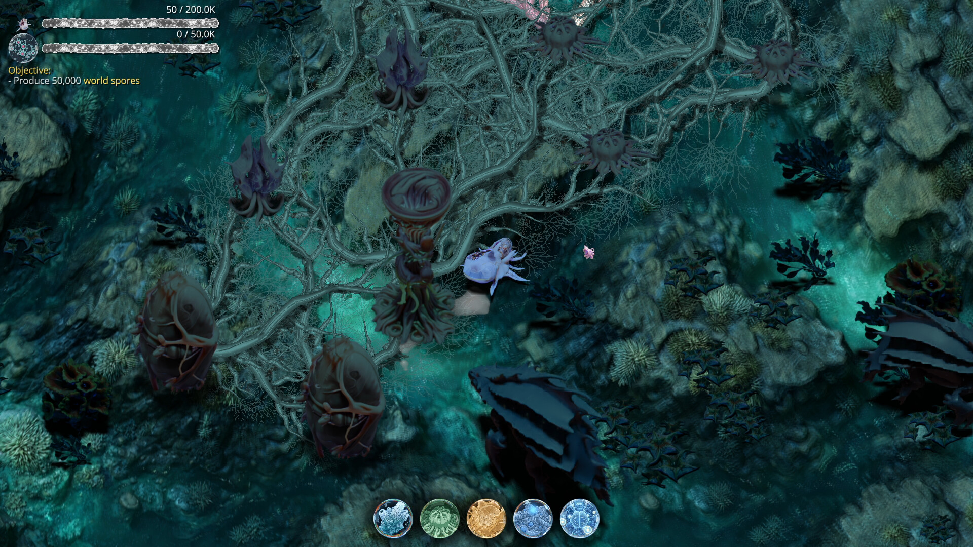 Mycelium Conquest