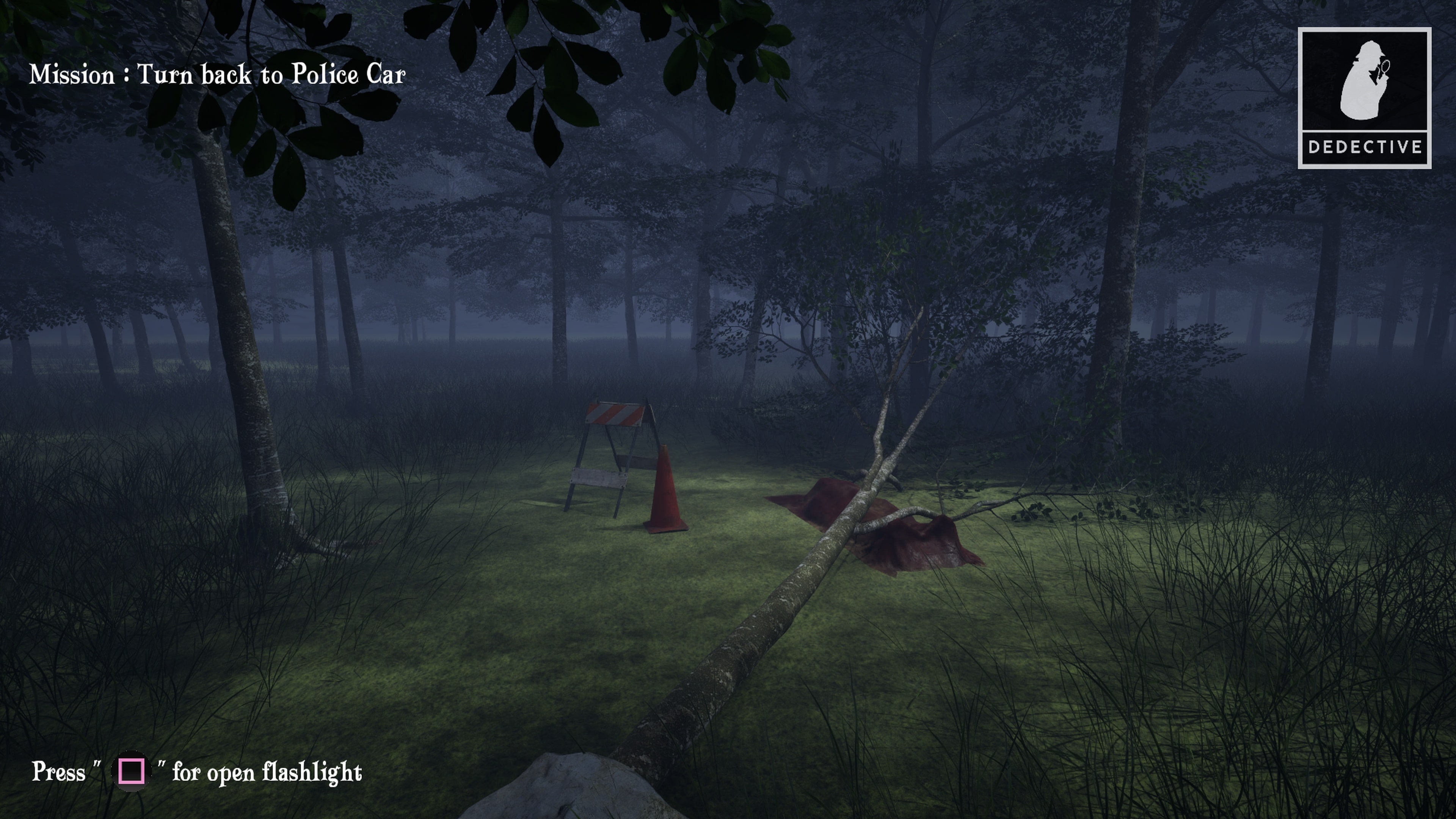 Quiet Evidence: A Detective Mystery Case