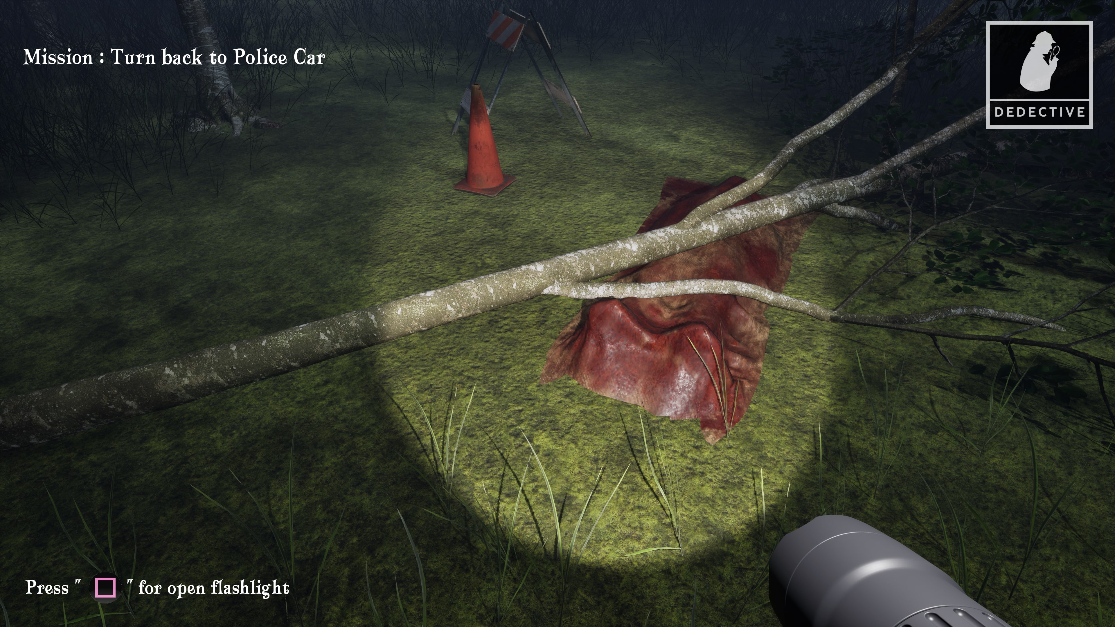Quiet Evidence: A Detective Mystery Case