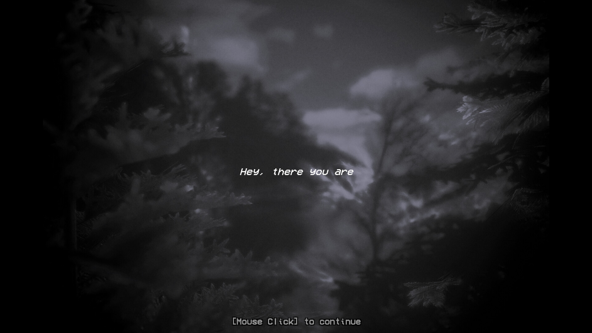 Hermit Computer