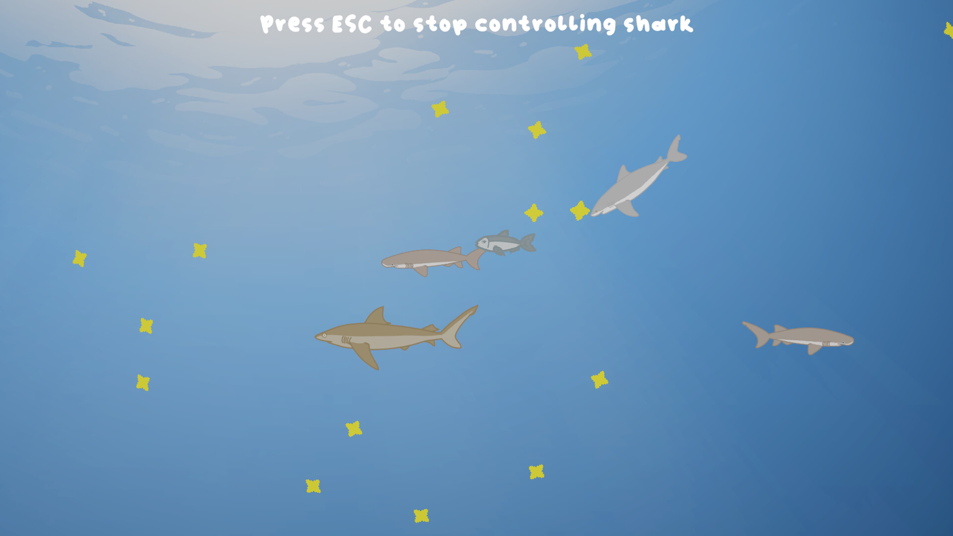 Sharkarama