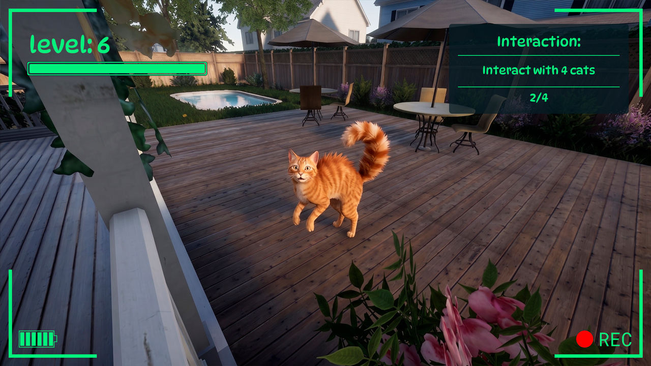 Bodycam Stray Kitty: Gold Edition