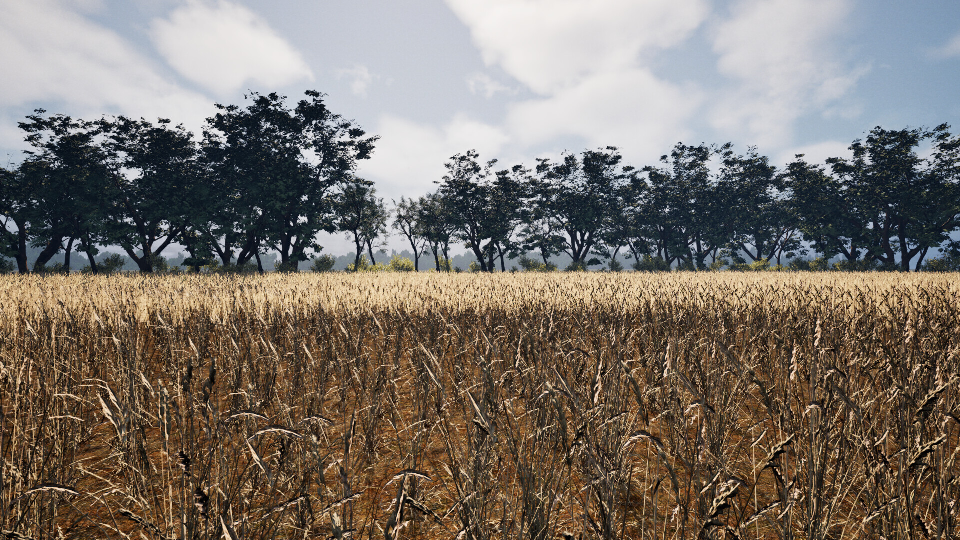 Deep in the fields