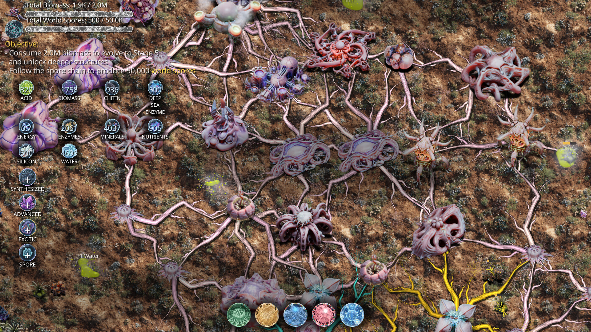 Mycelium Conquest