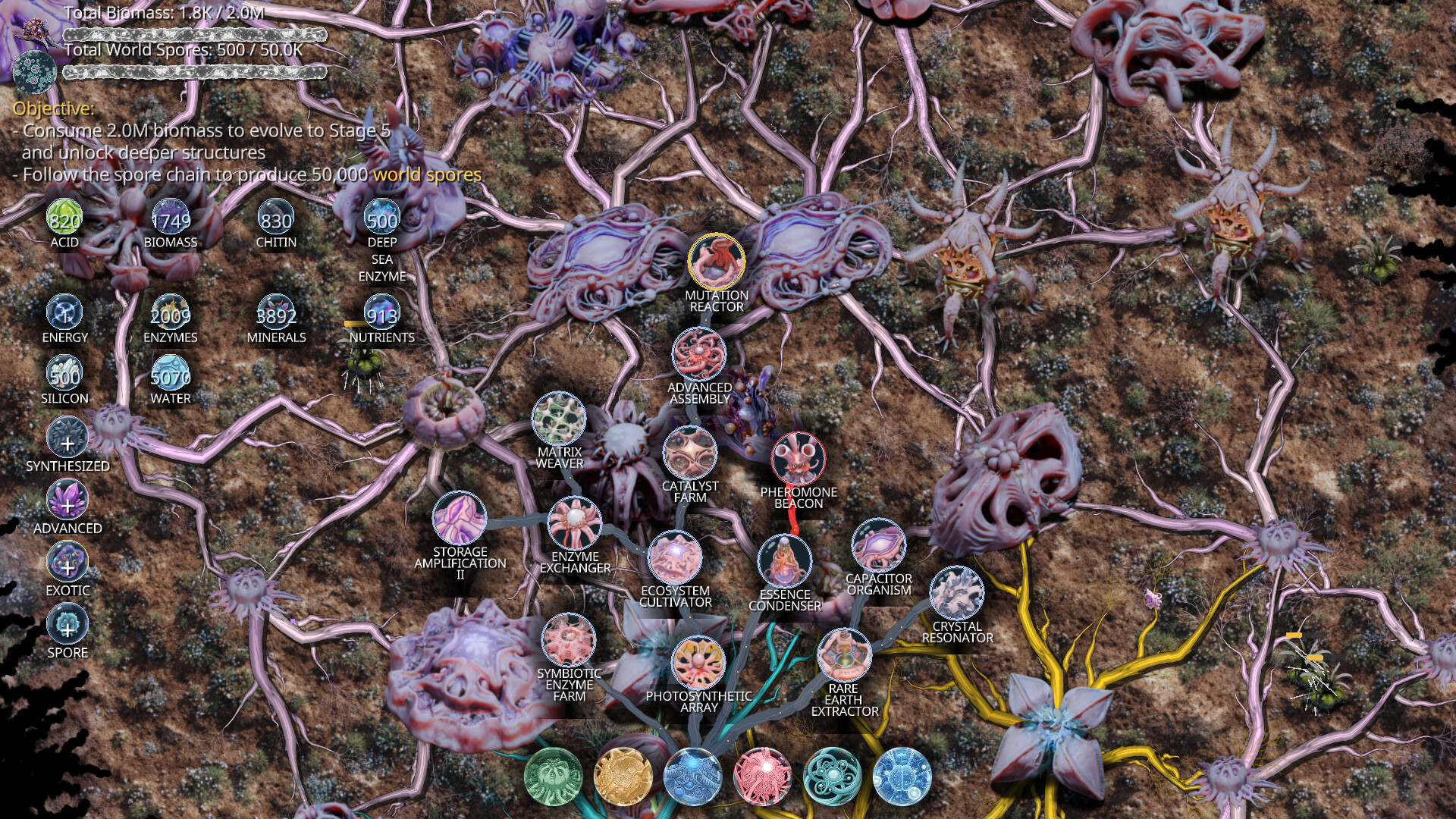 Mycelium Conquest