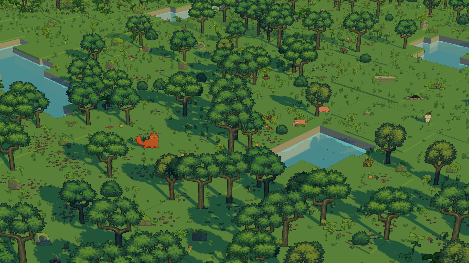 The Little Land