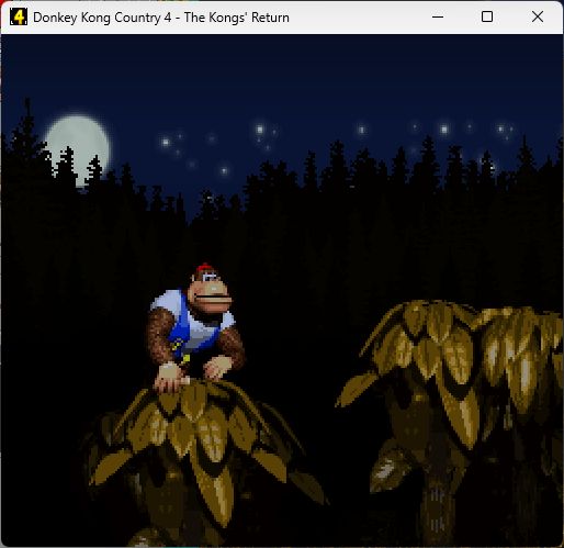 Donkey Kong Country 4: The Kongs Return