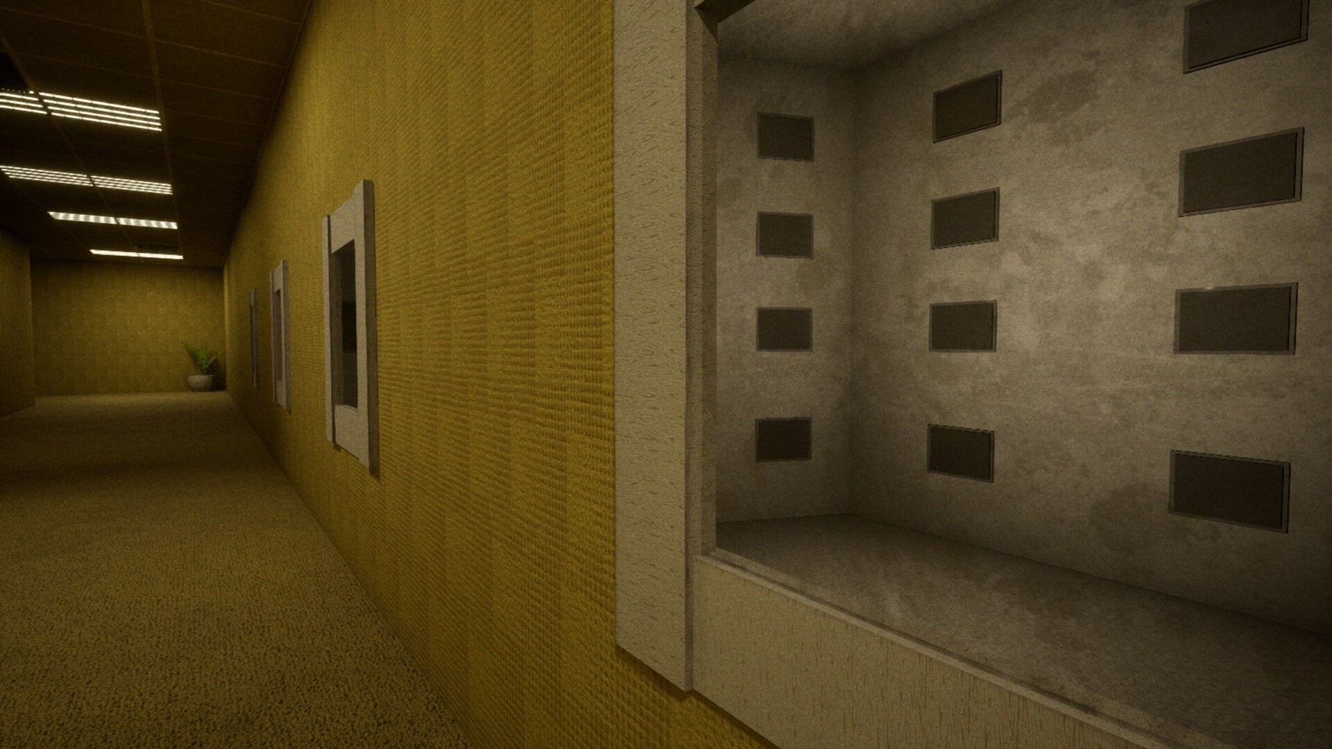 Backrooms Anomaly