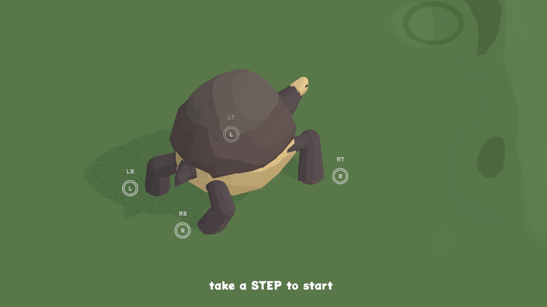 The Art of Tortoise Walking