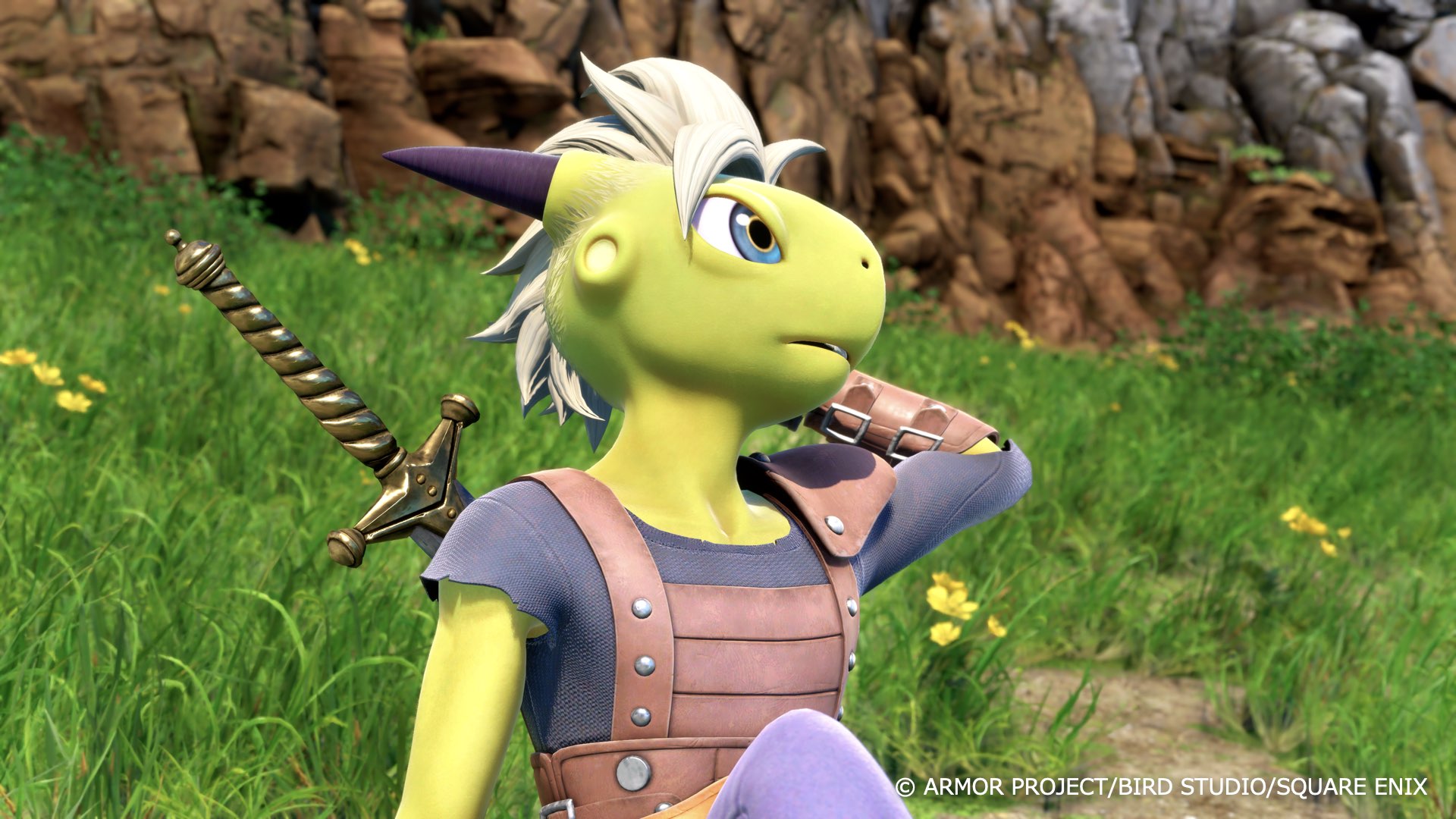 Dragon Quest XII: Beyond Dreams