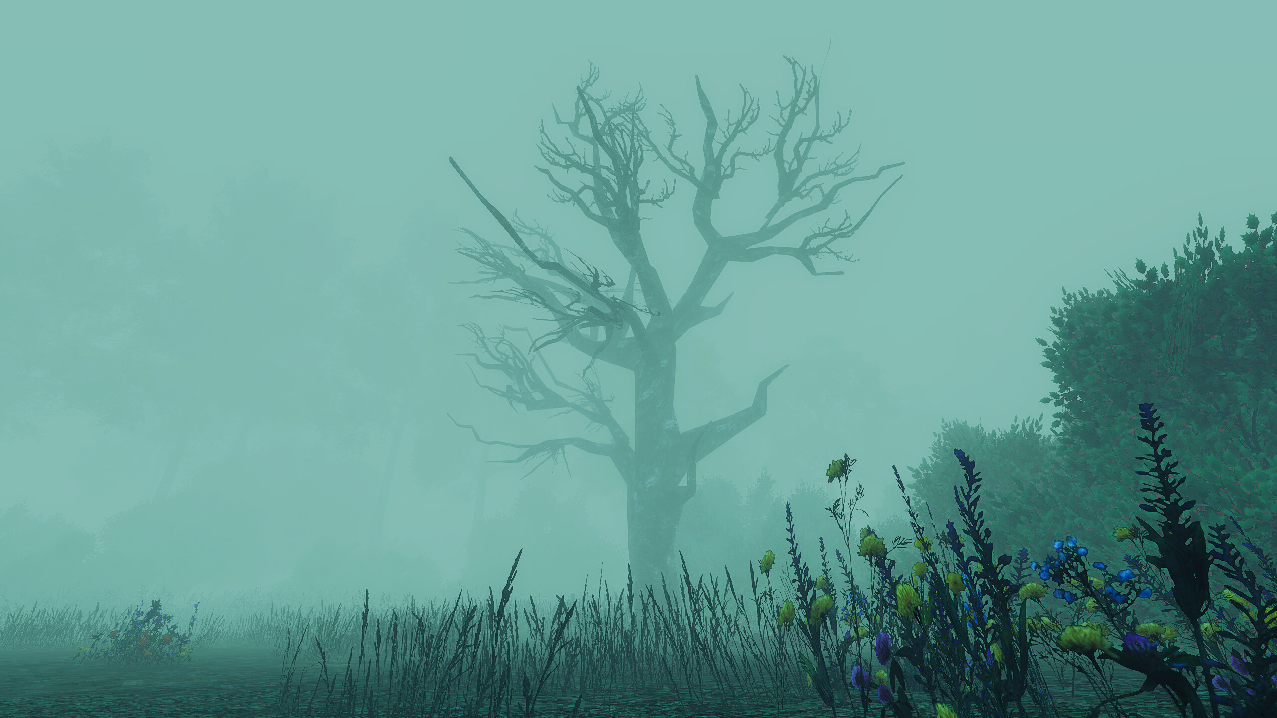 Dread Fields