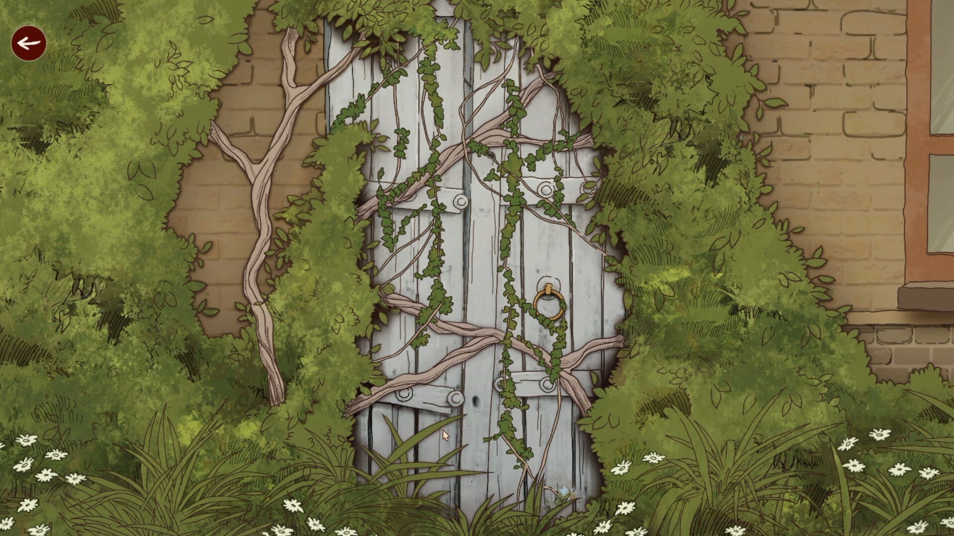 The Hidden Library