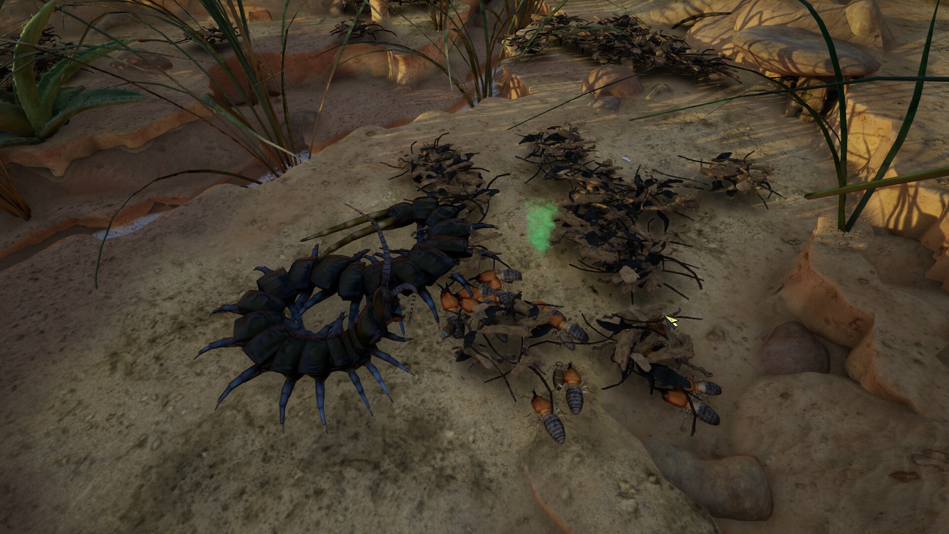 Empires of the Undergrowth: Exploding Ants