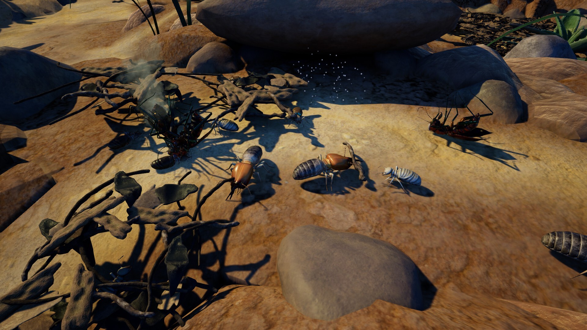 Empires of the Undergrowth: Exploding Ants