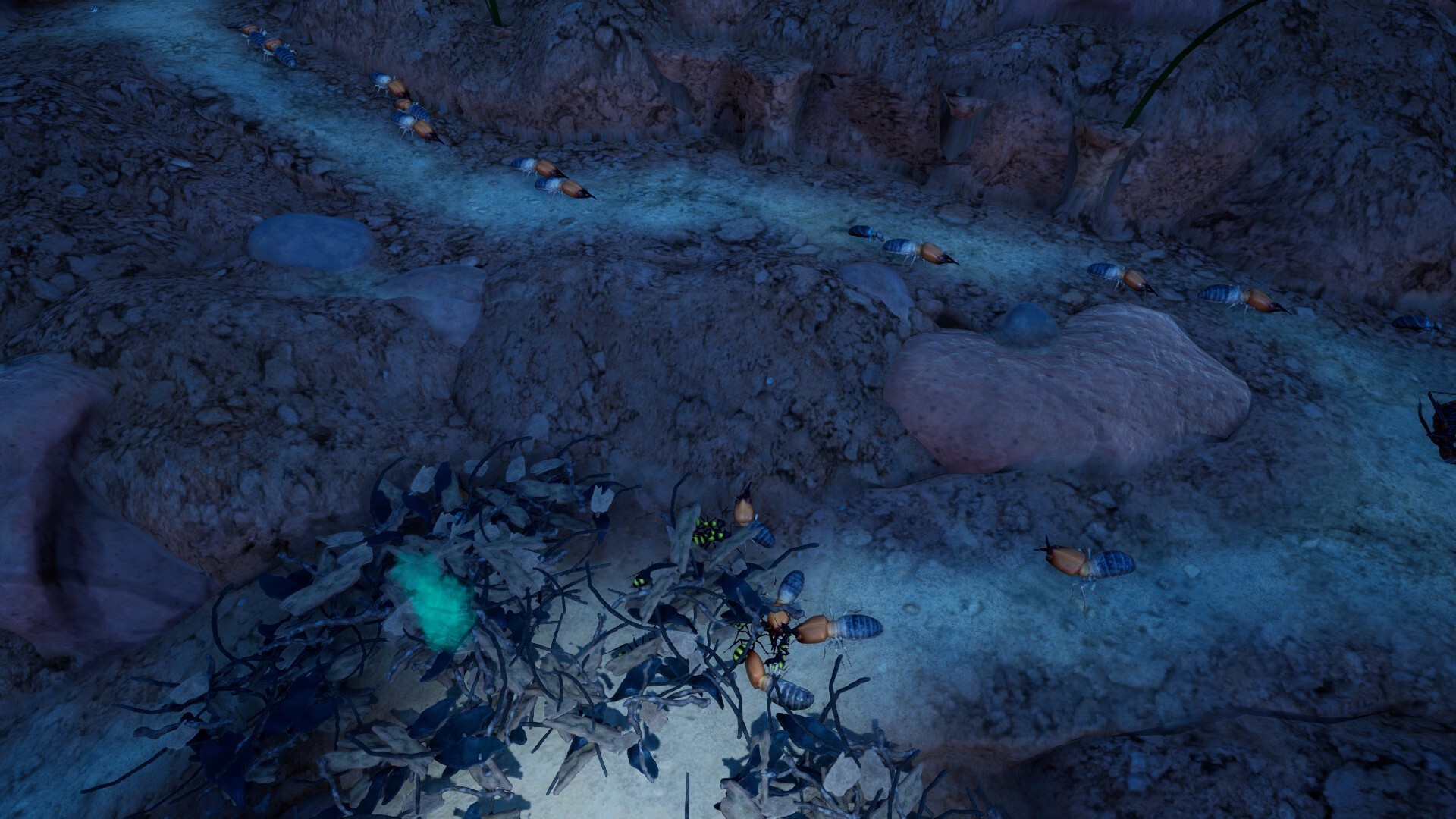 Empires of the Undergrowth: Exploding Ants